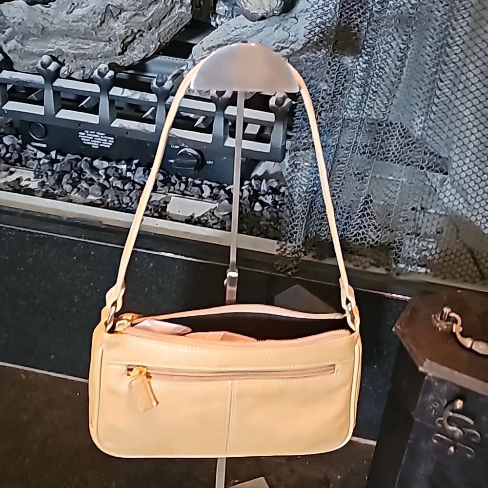 Tignanello Beige Mini Satchel🦚🦚🦚